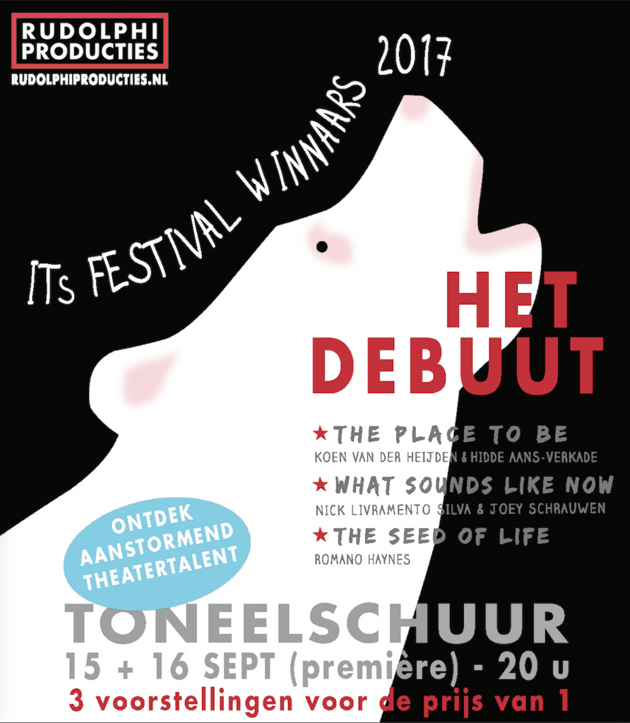 Rud. Producties ‘Het Debuut’ 2017